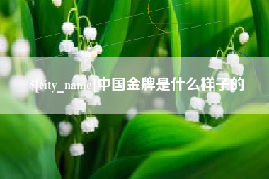 许昌中国金牌是什么样子的